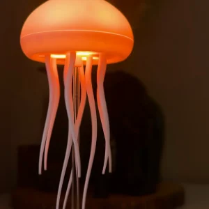 Jellyfish Lamp
