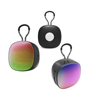 Portable Mini Speaker