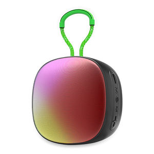 Portable Mini Speaker