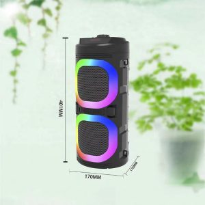 Bluetooth Portable Speaker – 40cm